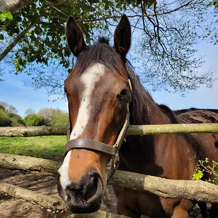 -parking Prive -maison Entiere -balancoire En Interieur-coeur Historique -la Clef De 펜션