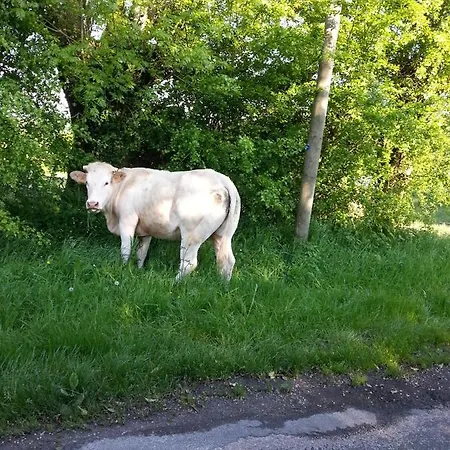 -parking Prive -maison Entiere -balancoire En Interieur-coeur Historique -la Clef De Holiday home Honfleur