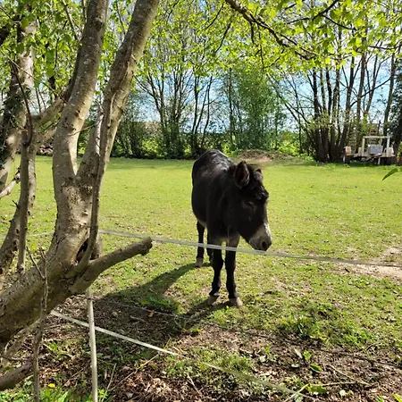 -parking Prive -maison Entiere -balancoire En Interieur-coeur Historique -la Clef De * Honfleur