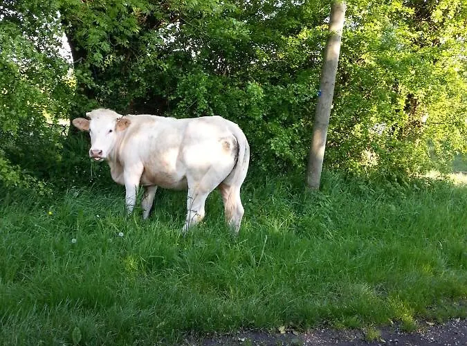 -parking Prive -maison Entiere -balancoire En Interieur-coeur Historique -la Clef De Holiday home Honfleur