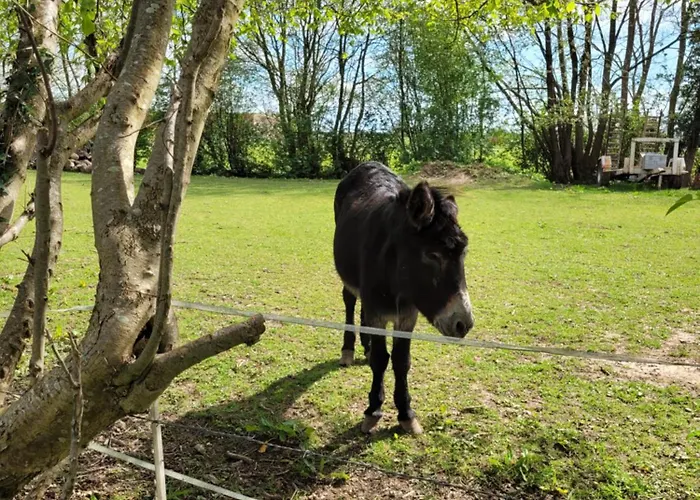 -parking Prive -maison Entiere -balancoire En Interieur-coeur Historique -la Clef De * Honfleur